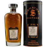 Signatory Vintage Cambus 1991/2021 - 57,8% vol. - 0,7 Liter