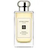 100 ml
