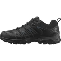 Salomon X Ultra Pioneer Gore-Tex Herren