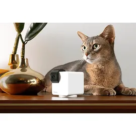 Petcube Cam 360 Kamera Weiß