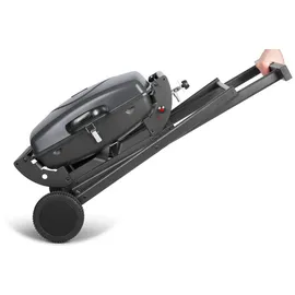 Teesa BBQ 1000 schwarz