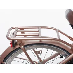Alpina 20 Clubb Rose Gold Matt Hinterradträger goldrosa|goldrosa|goldrosa ONE SIZE