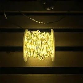 LOTTI Micro LED-Lichterkette 100 flg. warmweiß, 49482