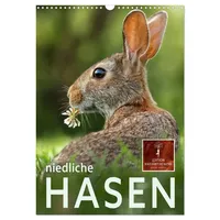 Calvendo Niedliche Hasen (Wandkalender 2026 DIN A3 hoch), CALVENDO