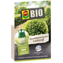 Compo Buchsbaumzünsler Lockstoff 4 Stück