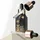 Medicube AGE-R Vita C Pro Ampulle 20 ml