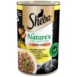 Sheba 400 g Nature's Collection - Nassfutter für ausgewachsene Katzen, mit Huhn und Fischöl mit einer Beilage aus Süßkartoffeln und grünen Bohnen, in Sauce