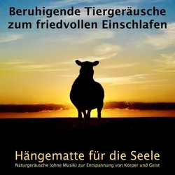 Beruhigende Tiergeräusche zum friedvollen Einschlafen