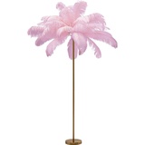 Kare Feather Palm pink