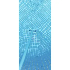 Planet Pool Profi Bodenbürste silber/schwarz 14 cm