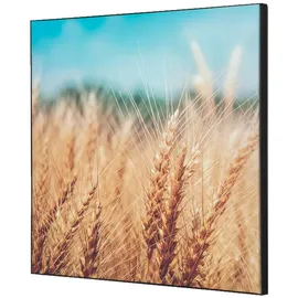 Showdown Displays Wanddekoration Set 40x40 Getreidefeld