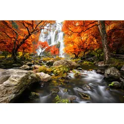 Fototapete PAPERMOON "WASSERFALL-HERBST BÄUME WALD NATUR LANDSCHAFT DSCHUNGEL", bunt, B:3,50m L:2,60m, Vlies, Tapeten
