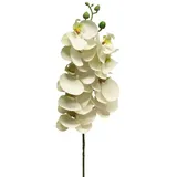 Kunstorchidee Kunstzweig Phalaenopsis Orchidee SONGYA, weiß, 75 cm Orchidee (Orchidee phalaenopsis), artplants weiß