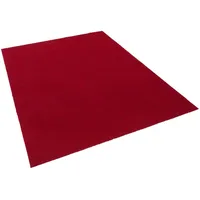 Snapstyle Kunstrasen Rasenteppich mit Noppen Kingston Rot 200x450cm