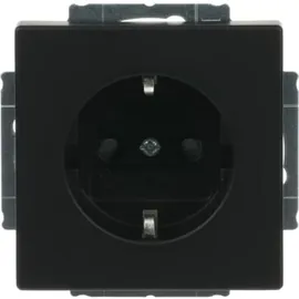 Busch-Jaeger Steckdoseneinsatz 1 Schwarz 1 St.