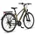 licorne bike gmbh Premium Touring Trekking Bike 28 Zoll RH 48 cm Damen gold