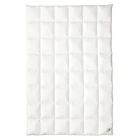 OBB Daunendecke 120 Jahre Winterdecke Kassettendecke warm Größe 155x220 cm