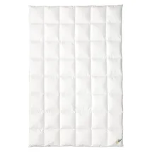 OBB Daunendecke 120 Jahre Winterdecke Kassettendecke warm Größe 155x220 cm