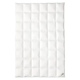 OBB Daunendecke 120 Jahre Winterdecke Kassettendecke warm Größe 155x220 cm
