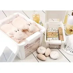 PROREGAL Mega Deal 2x Mehrzweck Aufbewahrungsbehälter STORAGE mit Deckel, HxBxT 10x26,5x16cm, 3 Liter, Weiß, Behälter, Box, Aufbewahrungsbehälter