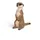 Schleich Erdmännchen 14935