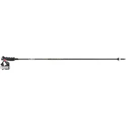 LEKI Herren Alpin-Skistock Carbon 12 3D, schwarz, 115
