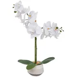 Atmosphera Créateur d'intérieur Atmosphera Créateur d'intérieur