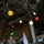 Lumi Jardin Lichterkette grau 5,7 m 10 Glühbirnen