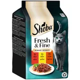 Sheba Fresh & Fine Rind, Huhn, Lamm 6 x 50 g