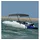 vidaXL Bimini Top 180 x 130 x 110 cm Grau