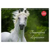 Calvendo Traumpferd Lipizzaner (Wandkalender 2026 DIN A4 quer), CALVENDO