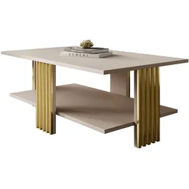 lookway SAPHIRA Gold Holzwerkstoff 100 x 40 x 60 cm