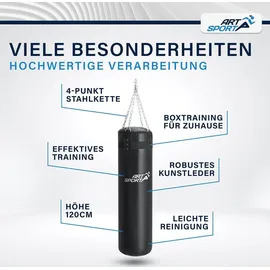 ArtSport Boxsack Set 30 kg gefüllt, Box mit Stahlkette & Karabinerhaken für Erwachsene Schwarz