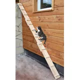 Ruhti - Katzentreppe Katzenleiter Katzenstufe für Balkon, Treppe etc.| 1 bis 7 m (1 m)