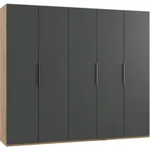 MID.YOU Drehtürenschrank Level 36A 250 x 216 x 58 cm Graphit
