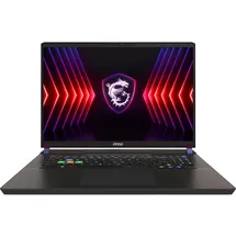 MSI Vector 17 HX A14VHG-1009 Intel Core i9-14900HX 32 GB RAM 1 TB SSD