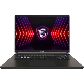 MSI Vector 17 HX A14VHG-1009 Intel Core i9-14900HX 32 GB RAM 1 TB SSD
