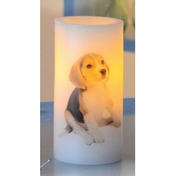 Luna24 simply great ideas... LED-Kerze LED Kerze mit Hundemotiv Welpe Beagle, 2er-Set Beagle, 2er-Set Beagle weiß