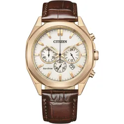 Chronograph CITIZEN, braun (dunkelbraun, weiß), Armbanduhren, Herren, Armbanduhr, Herrenuhr, Solar, Stoppfunktion, Edelstahlarmband