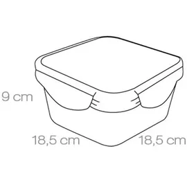 Tescoma Frischhaltedose quadratisch transparent 2 l