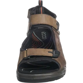ECCO Offroad Herren nutmeg brown 44