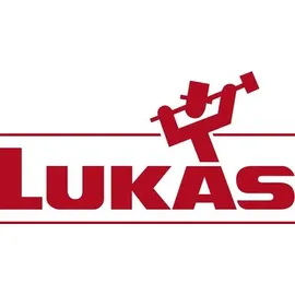 Lukas-Erzett Fächerscheibe SLTT Z Power Ø 125 mm Körnung 60 10 Stück