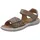Beige 37
