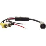 Caratec Monitor-Adapter, 6-polige Kupplung auf Cinch-Stecker