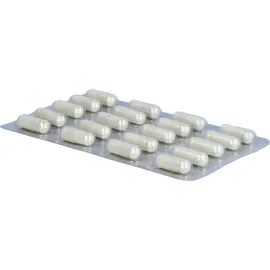 Toxaprevent medi pure Kapseln 60 St.