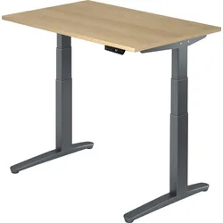 bümö elektrisch höhenverstellbarer Schreibtisch 120x80 cm mit Memory-Steuerung - Design Schreibtisch höhenverstellbar elektrisch, elektrischer