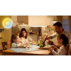 Philips WiZ Smart LED A60 Birne 8,5W = 60W E27 matt 806lm CCT 2200K-6500K Dimmbar App Amazon Alexa Google WiFi