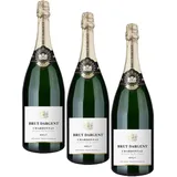 Brut Dargent - Chardonnay Sekt Brut Magnum, Qualitativ hochwertiger Chardonnay trocken Sekt aus Frankreich, Methode Traditionnelle (1 x 1.5 l) (Packung mit 3)