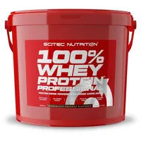 Scitec Nutrition 100% Whey Protein Professional Schokolade-Kokosnuss Pulver 5000 g