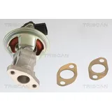 TRISCAN AGR-Ventil 8813 10054